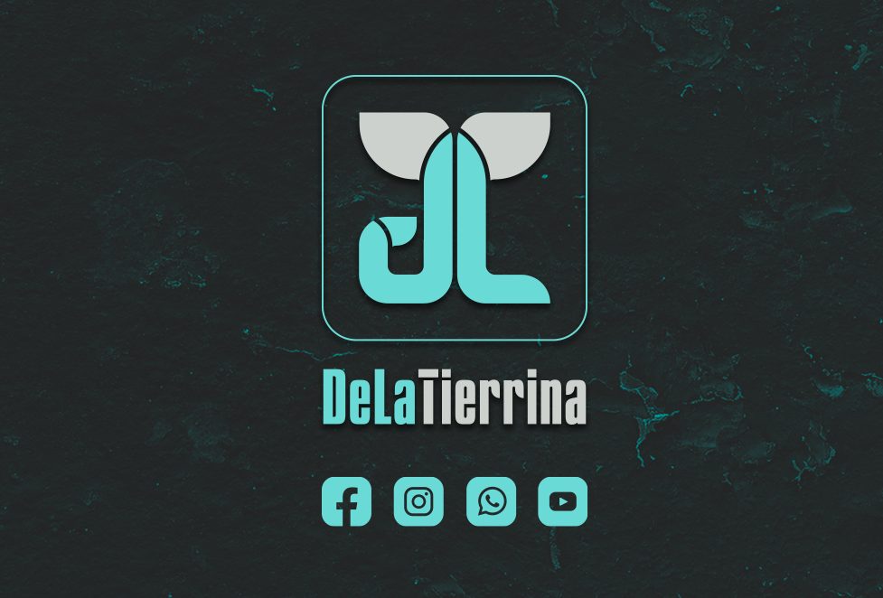 bg_redes